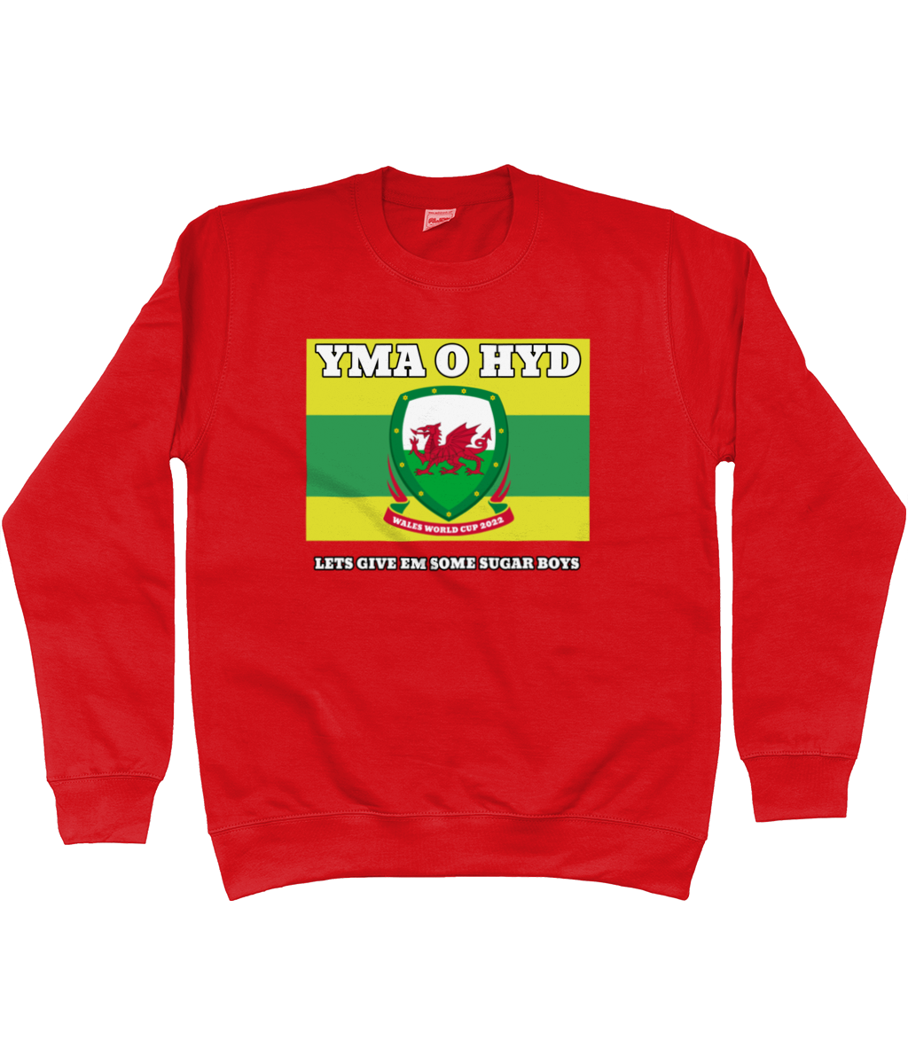 Yma O Hyd - World Cup Sweatshirt