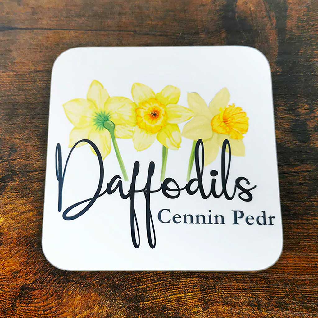 Daffodil - Cennin Pedr Coaster