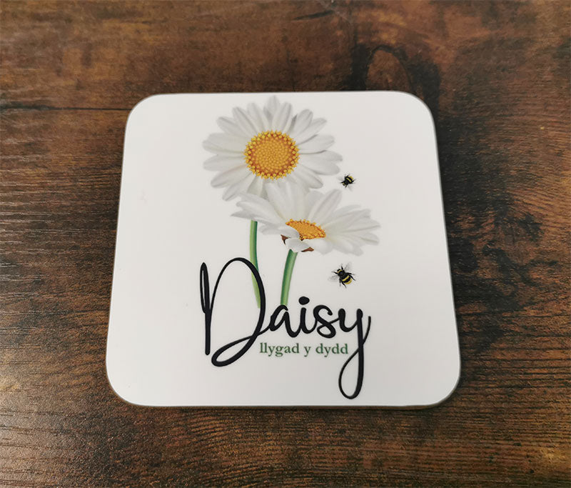 Llygad Y Dydd - Daisy Gift Bundle