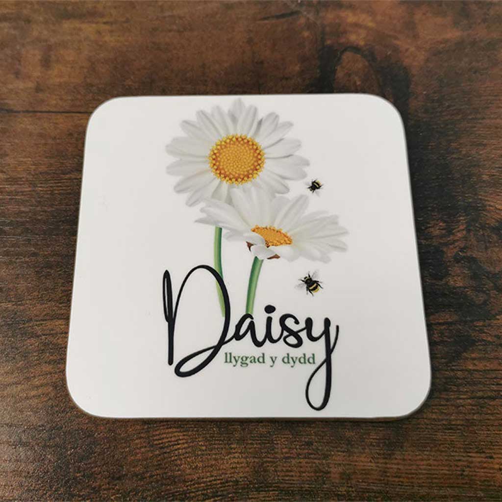 Daisy- Llygad Y Dydd Coaster