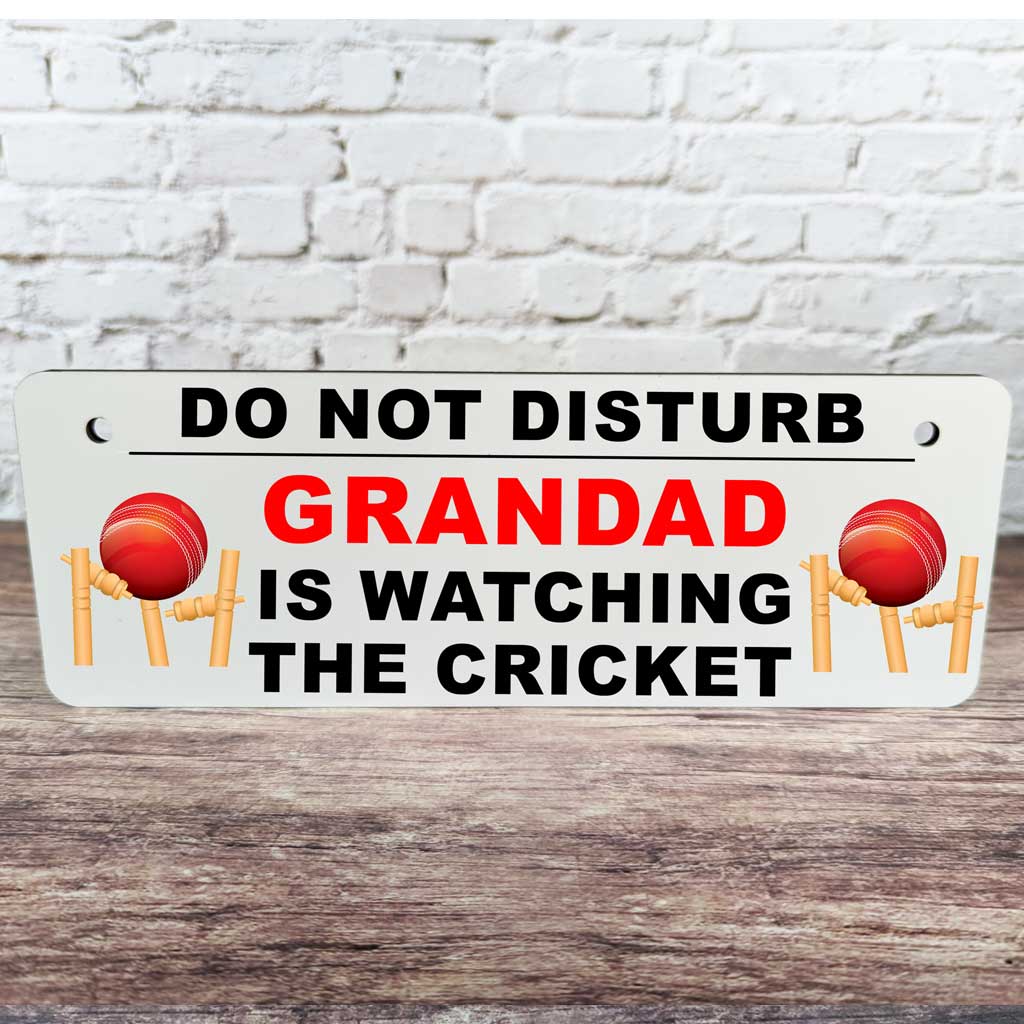 Personalised Do Not Disturb...Watching Sign