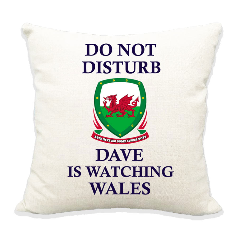 Do not Disturb Wales are playing Sports Cushion