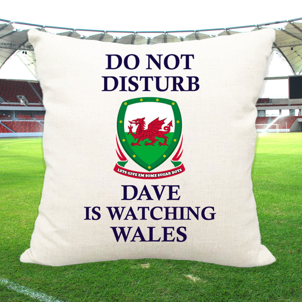 Do not Disturb Wales are playing Sports Cushion