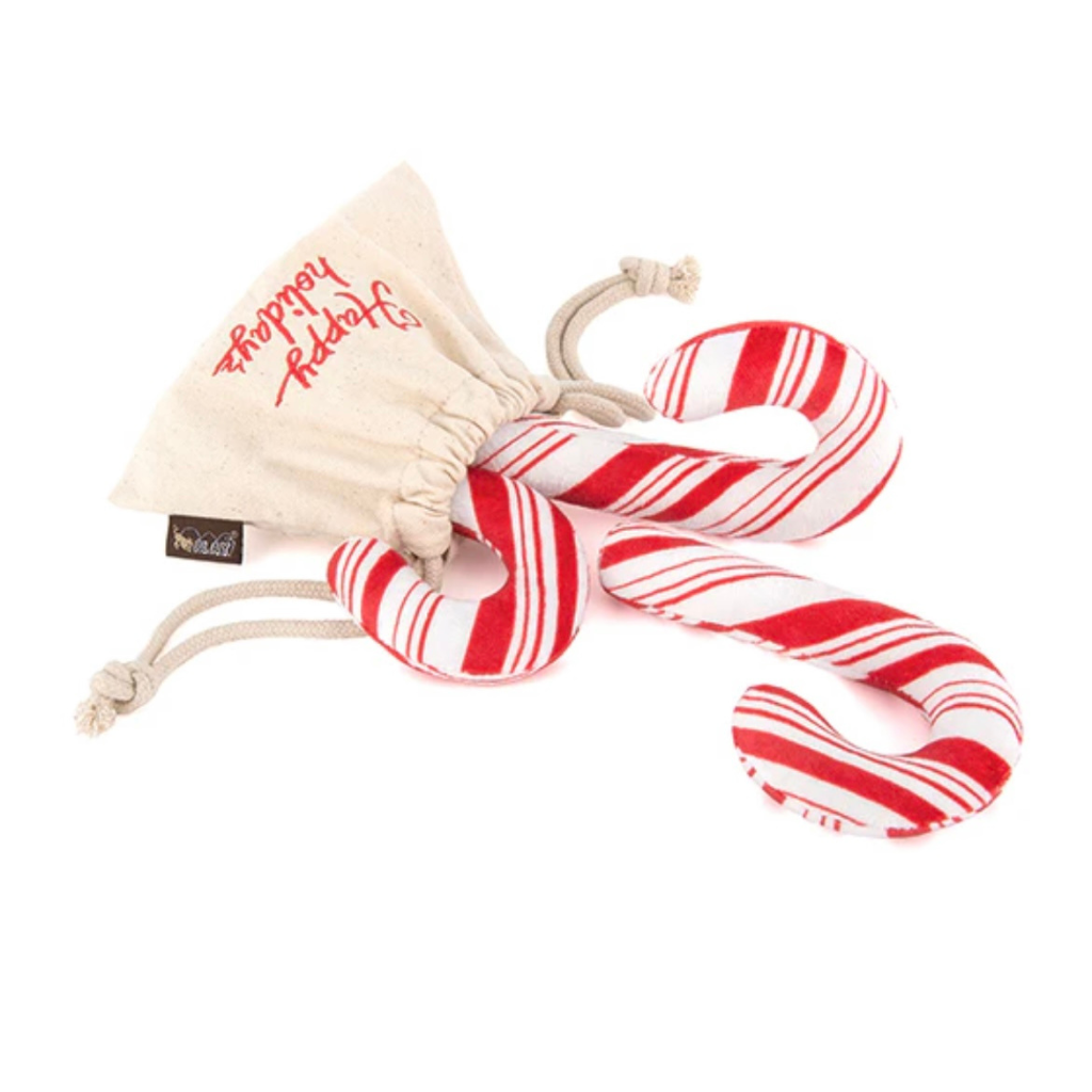 Set of Candy Canes Dog Toy