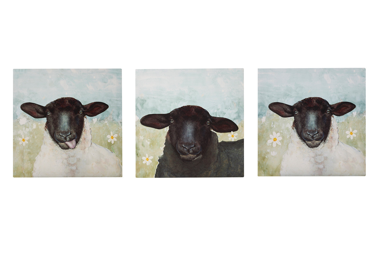 Sheep Canvas Wall Art- choice of 3 style