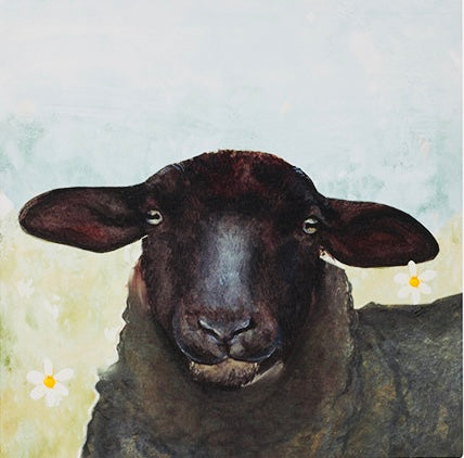 Sheep Canvas Wall Art- choice of 3 style