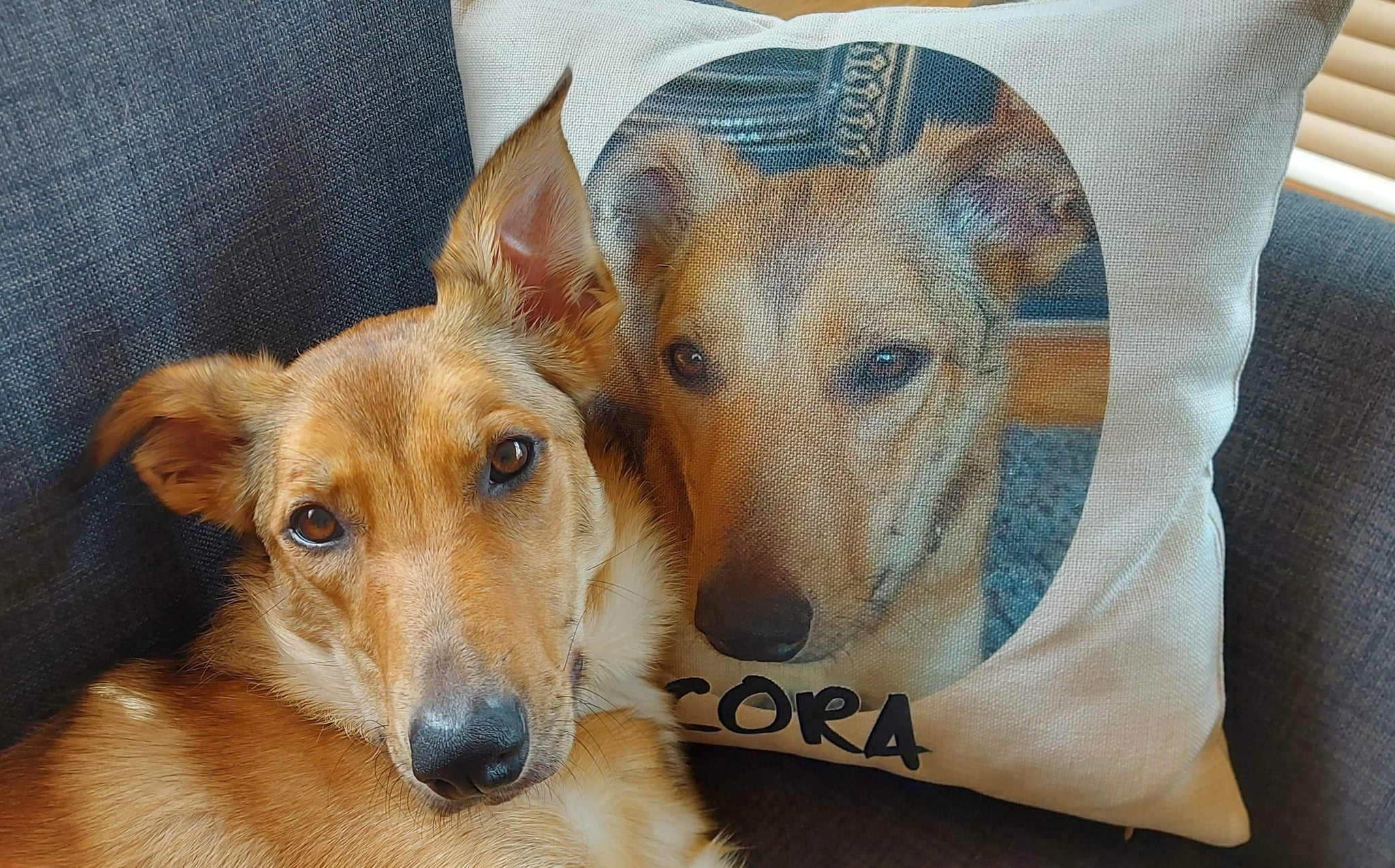 Personalised Pet Cushion