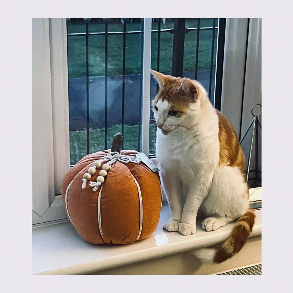 Hello Pumpkin Doorstop
