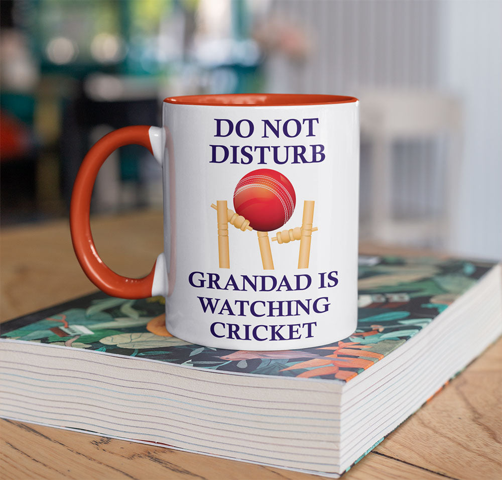 Do not Disturb Personalised Sports Mug