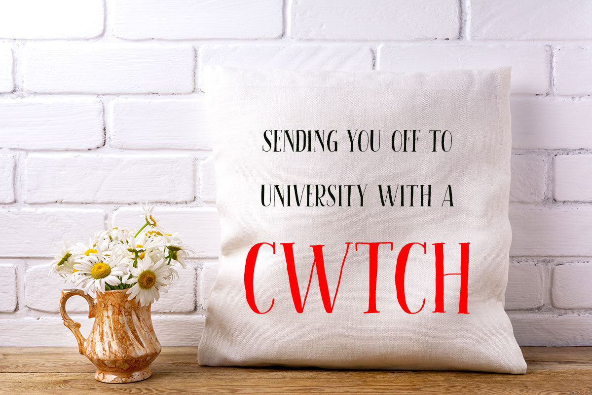 University Cwtch Cushion